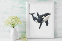 Stunning Whale Clipart Bundle - CraftNest - Digital Crafting and Art