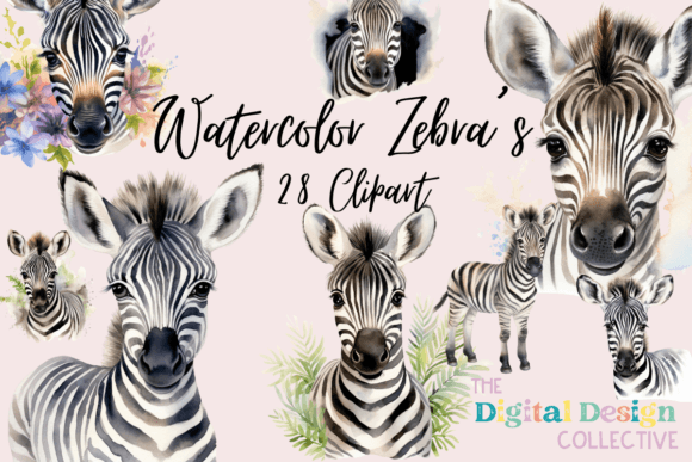 Zebra Clipart Bundle