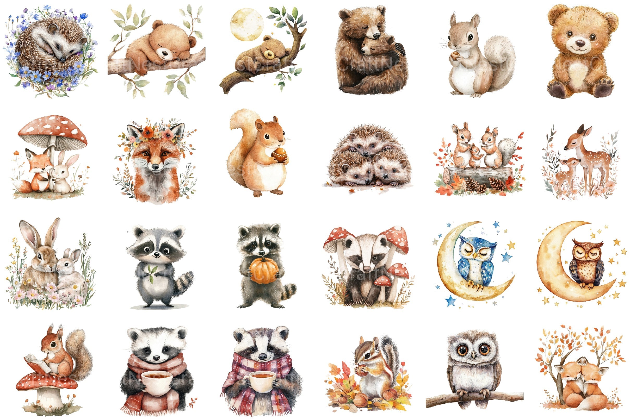 Cute Woodland Animals Clipart Bundle