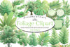 Foliage Clipart Bundle