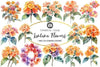 Lantana Flower Clipart Bundle