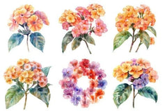 Lantana Flower Clipart Bundle 4 - CraftNest - Digital Crafting and Art