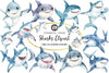 Sharks Clipart Bundle