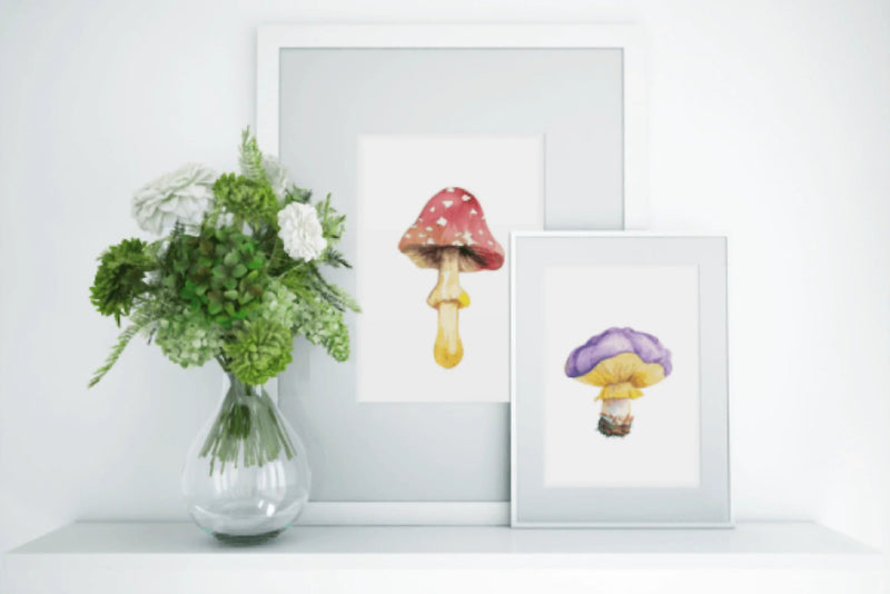Wild Mushrooms Clipart Bundle - CraftNest - Digital Crafting and Art