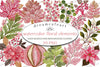 Winter & Fall Floral Elements Clipart Bundle