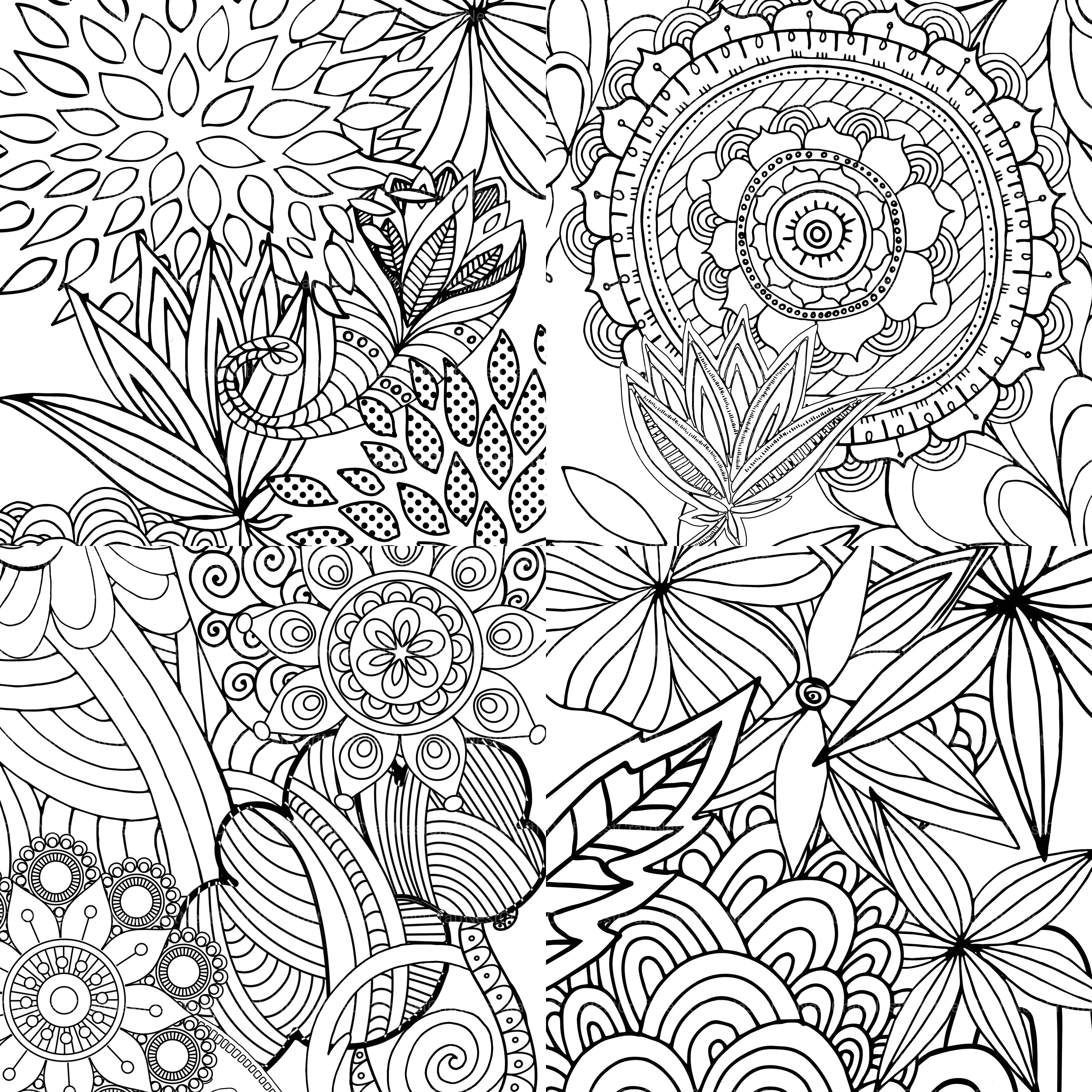 Colorist Heaven Flower Coloring Book - CraftNest - Digital Crafting and Art