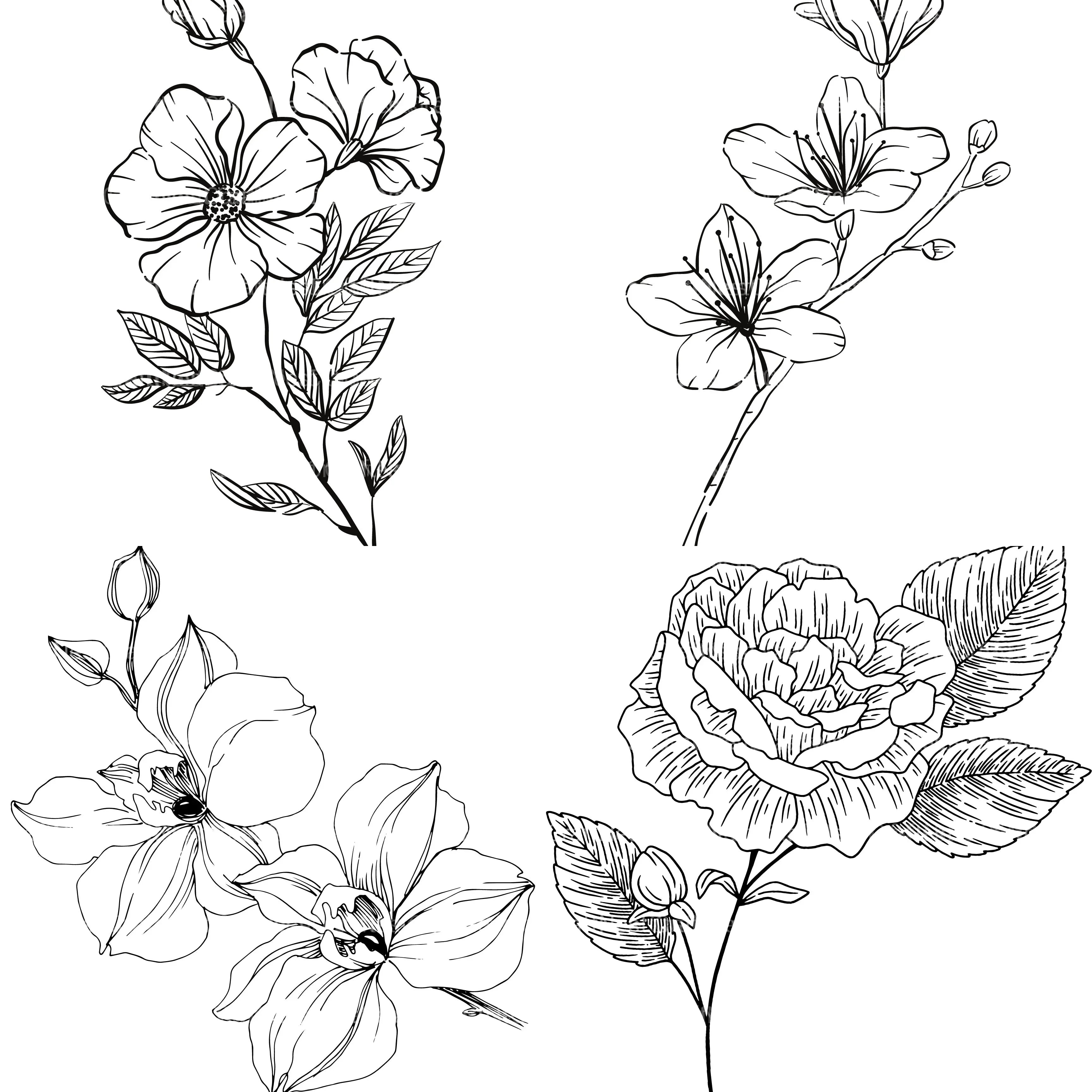 Floral Coloring Book - CraftNest - Digital Crafting and Art