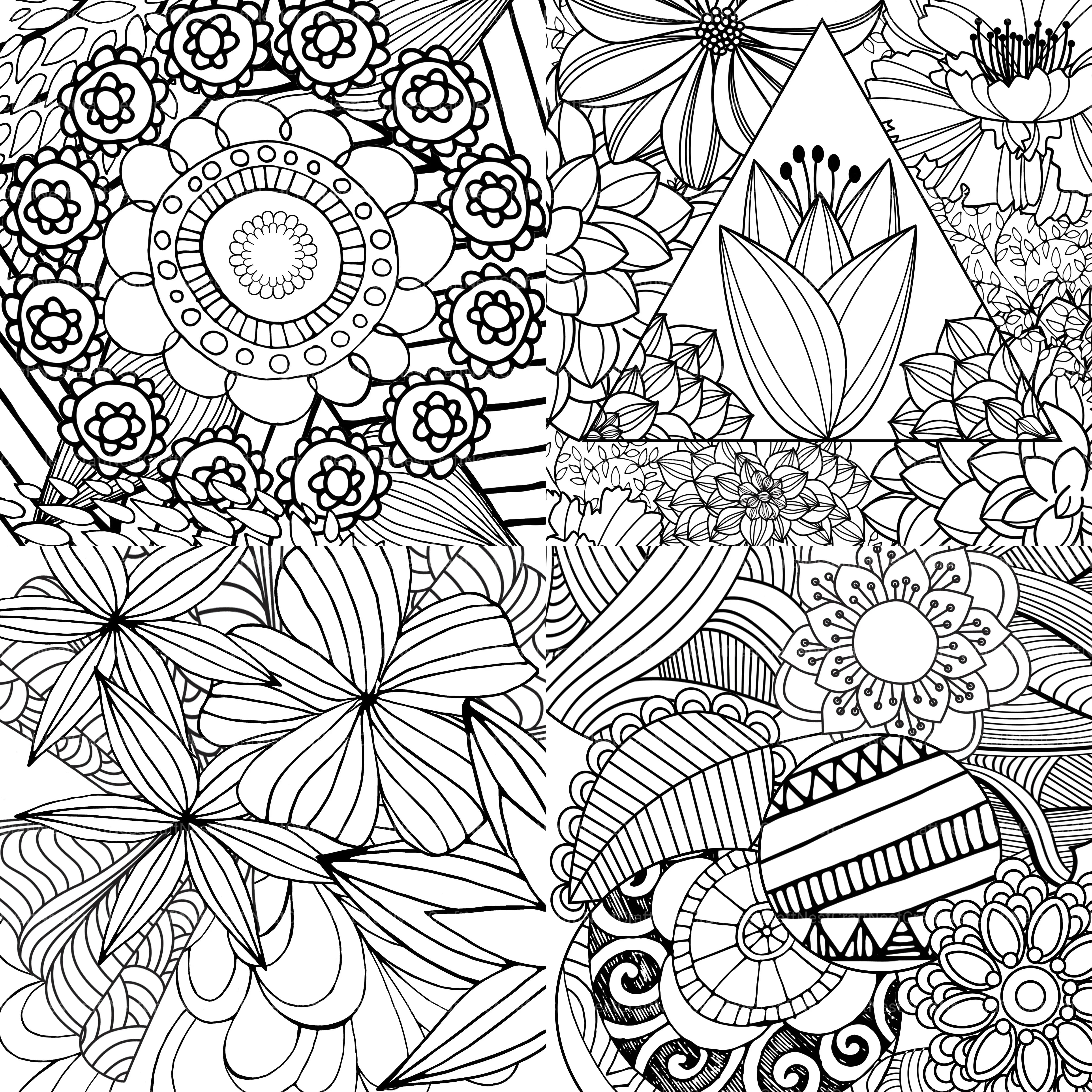 Colorist Heaven Flower Coloring Book - CraftNest - Digital Crafting and Art