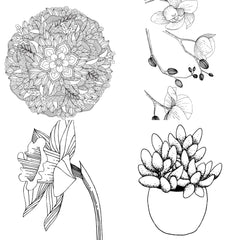 Floral Coloring Book - CraftNest - Digital Crafting and Art