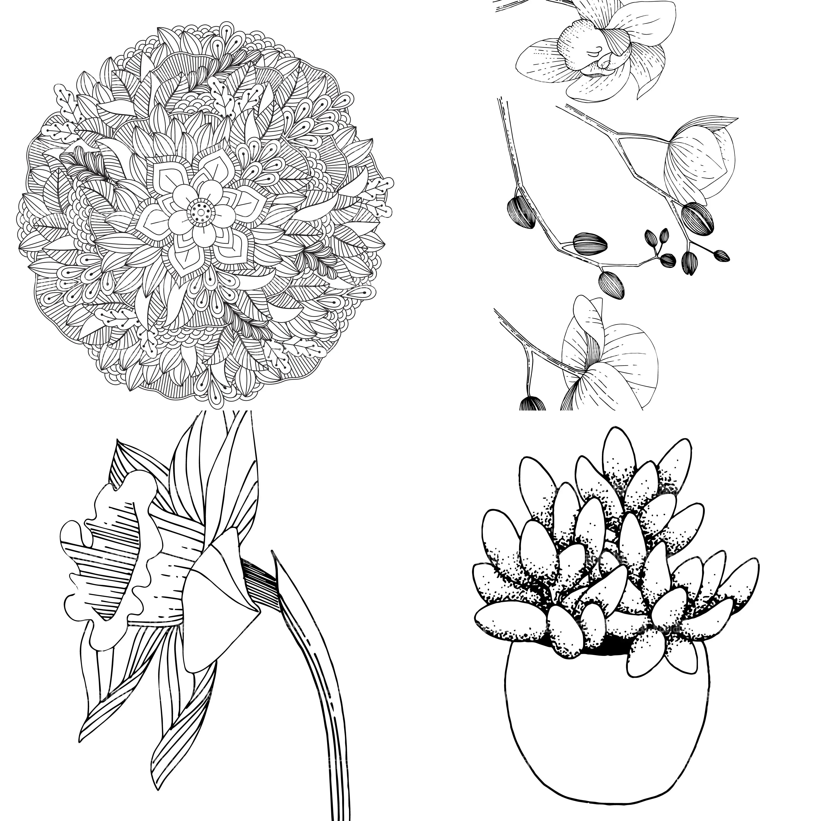 Floral Coloring Book - CraftNest - Digital Crafting and Art