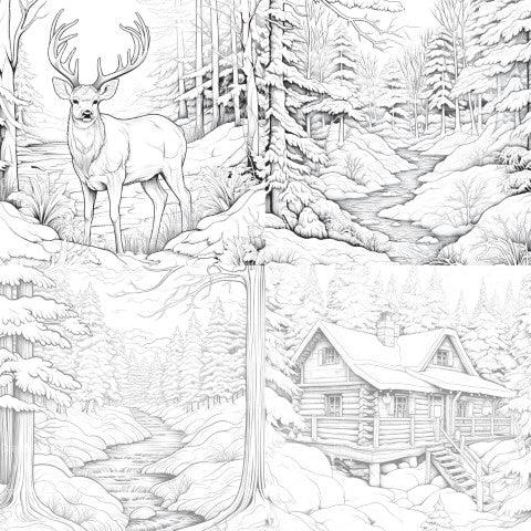 Winterland Coloring Book - CraftNest - Digital Crafting and Art