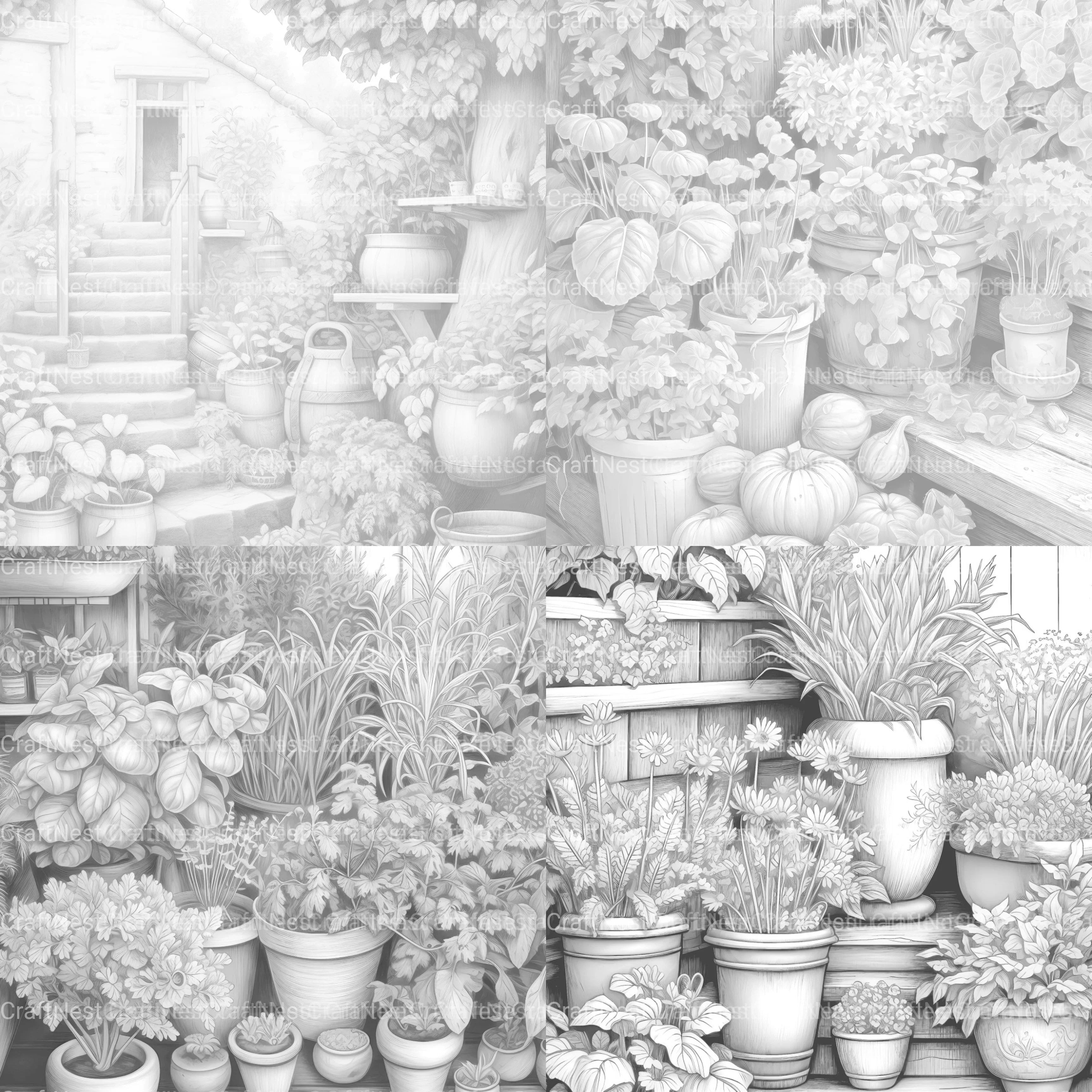 Herb Garden Coloring Book - CraftNest - Digital Crafting and Art