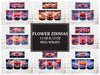 Flower Zinnias 2 Mug Wrap