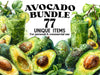 Avocado Clipart