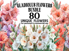 Gladiolus Flowers Clipart - CraftNest - Digital Crafting and Art