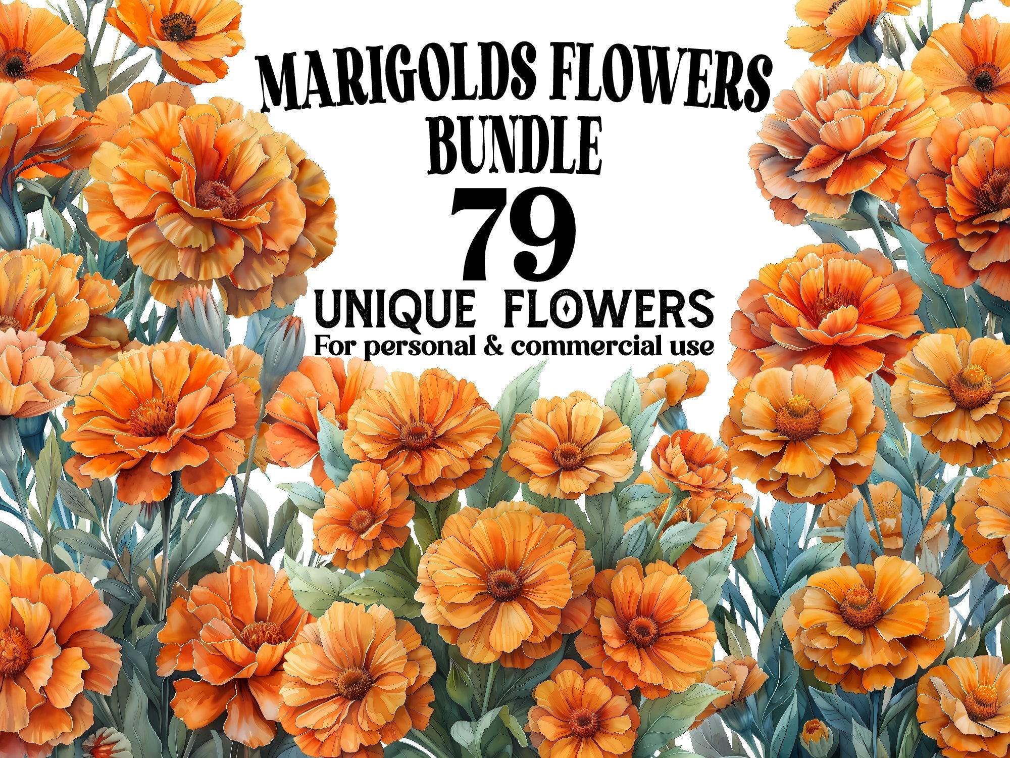 Marigolds Flowers Clipart - CraftNest - Digital Crafting and Art
