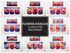 Flower Dahlias 1 Mug Wrap