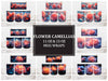 Flower Camellias 6 Mug Wrap