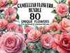 Camellias Flowers