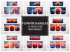 Flower Dahlias 4 Mug Wrap