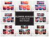Flower Azaleas 2 Mug Wrap
