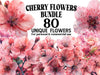 Cherry Flowers