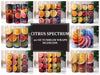 Citrus Spectrum 2 Tumbler Wrap