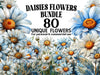 Daisies Flowers