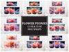 Flower Peonies 3 Mug Wrap