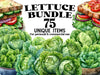 Lettuce