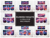 Flower Violets 7 Mug Wrap