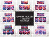Flower Violets 1 Mug Wrap