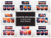 Flower Begonias 3 Mug Wrap