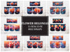 Flower Begonias 1 Mug Wrap