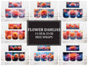Flower Dahlias 3 Mug Wrap
