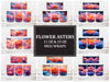 Flower Asters 3 Mug Wrap