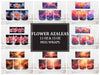 Flower Azaleas 8 Mug Wrap