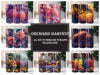 Orchard Harvest 1 Tumbler Wrap