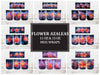 Flower Azaleas 7 Mug Wrap