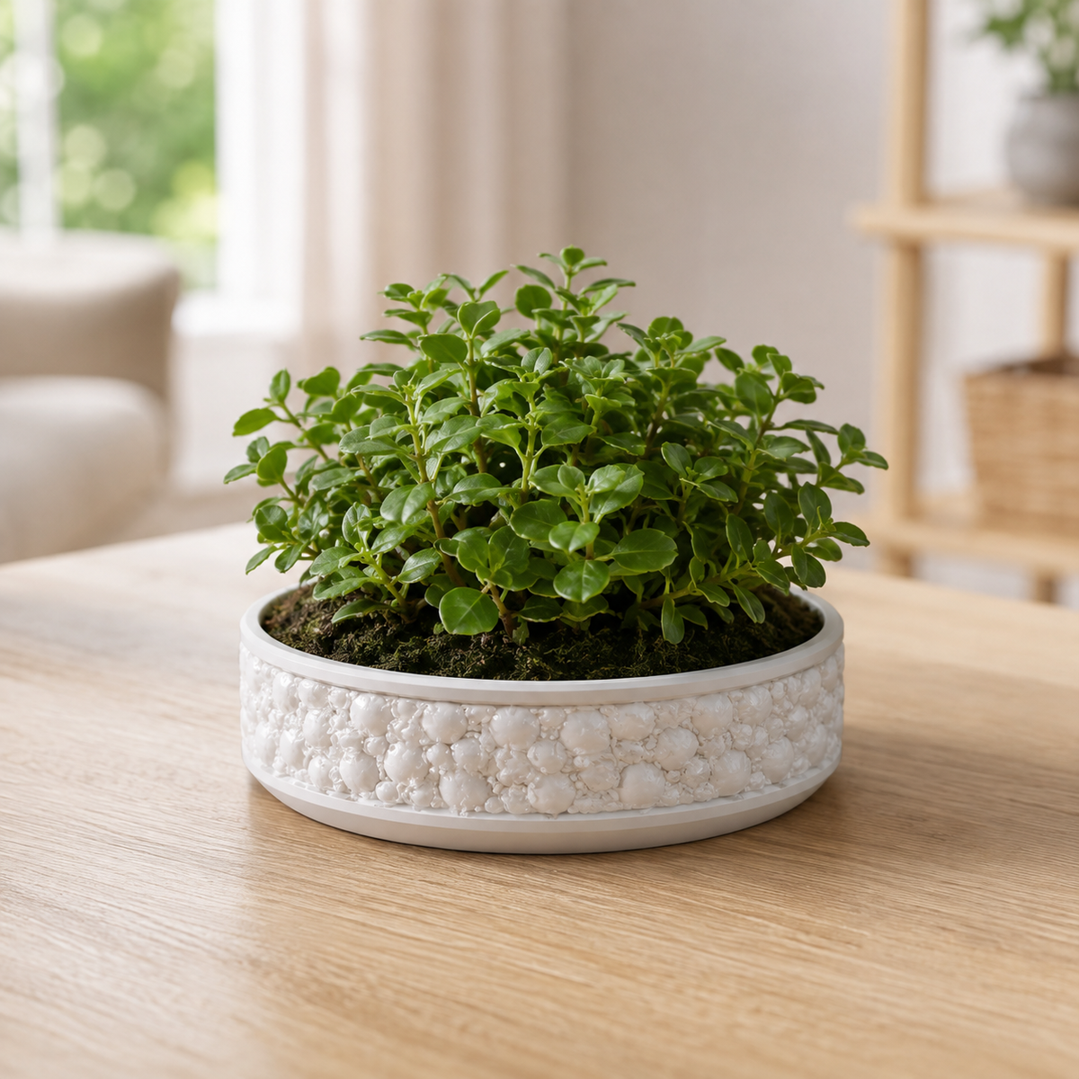 Skull Planter with Round Drip Tray Print STL File