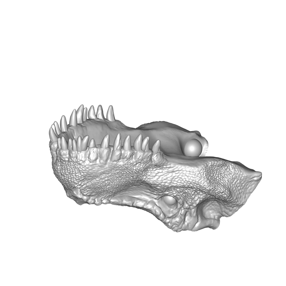 T-Rex Figurine Body Component Print STL File