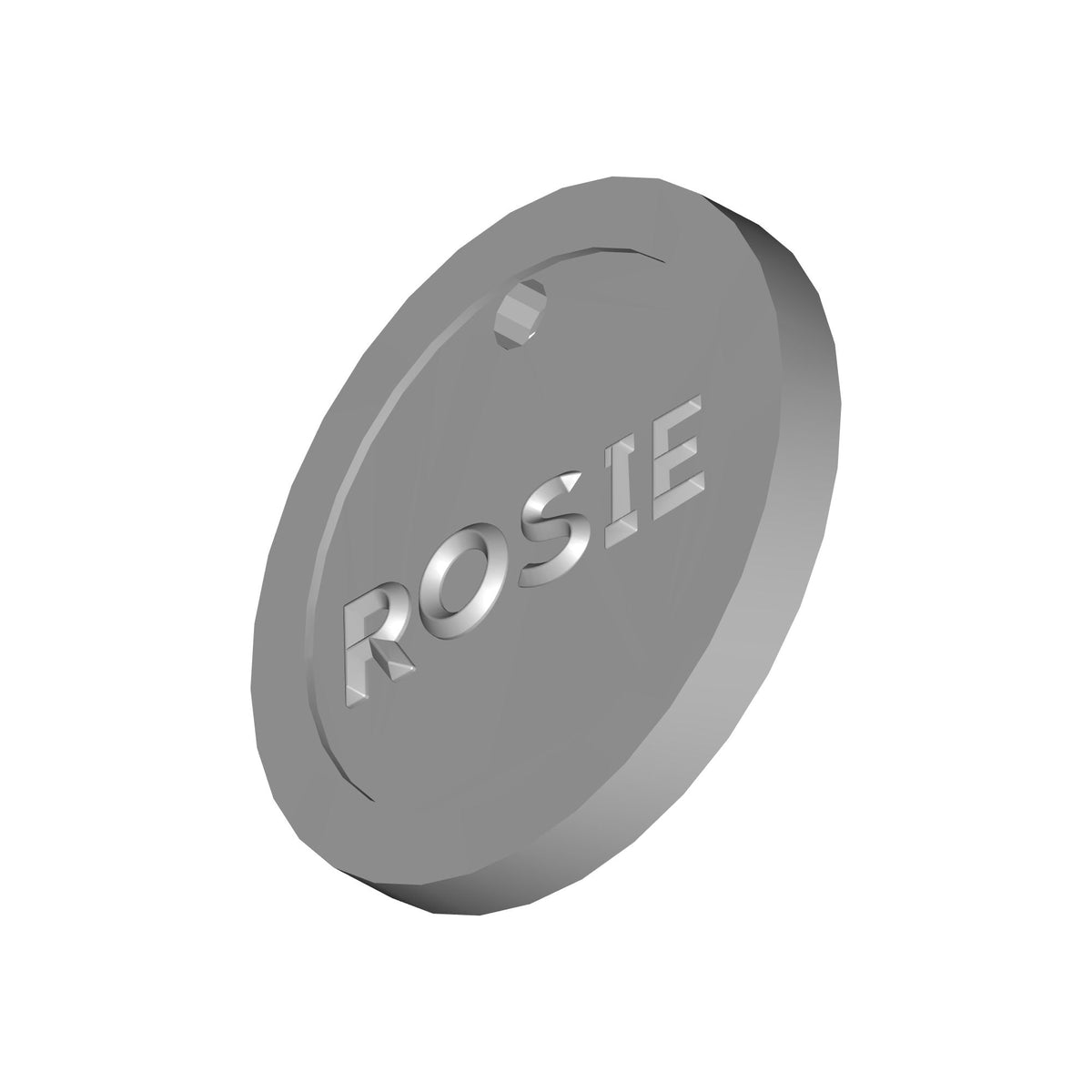 Dog ID Tag Print STL File