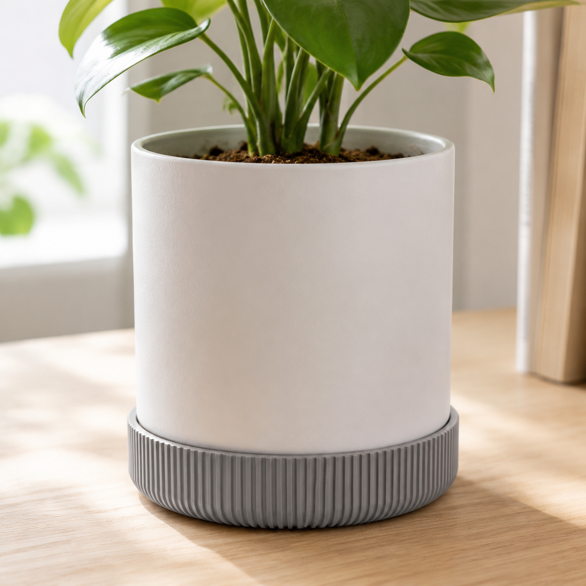 Planter Saucer Print STL File