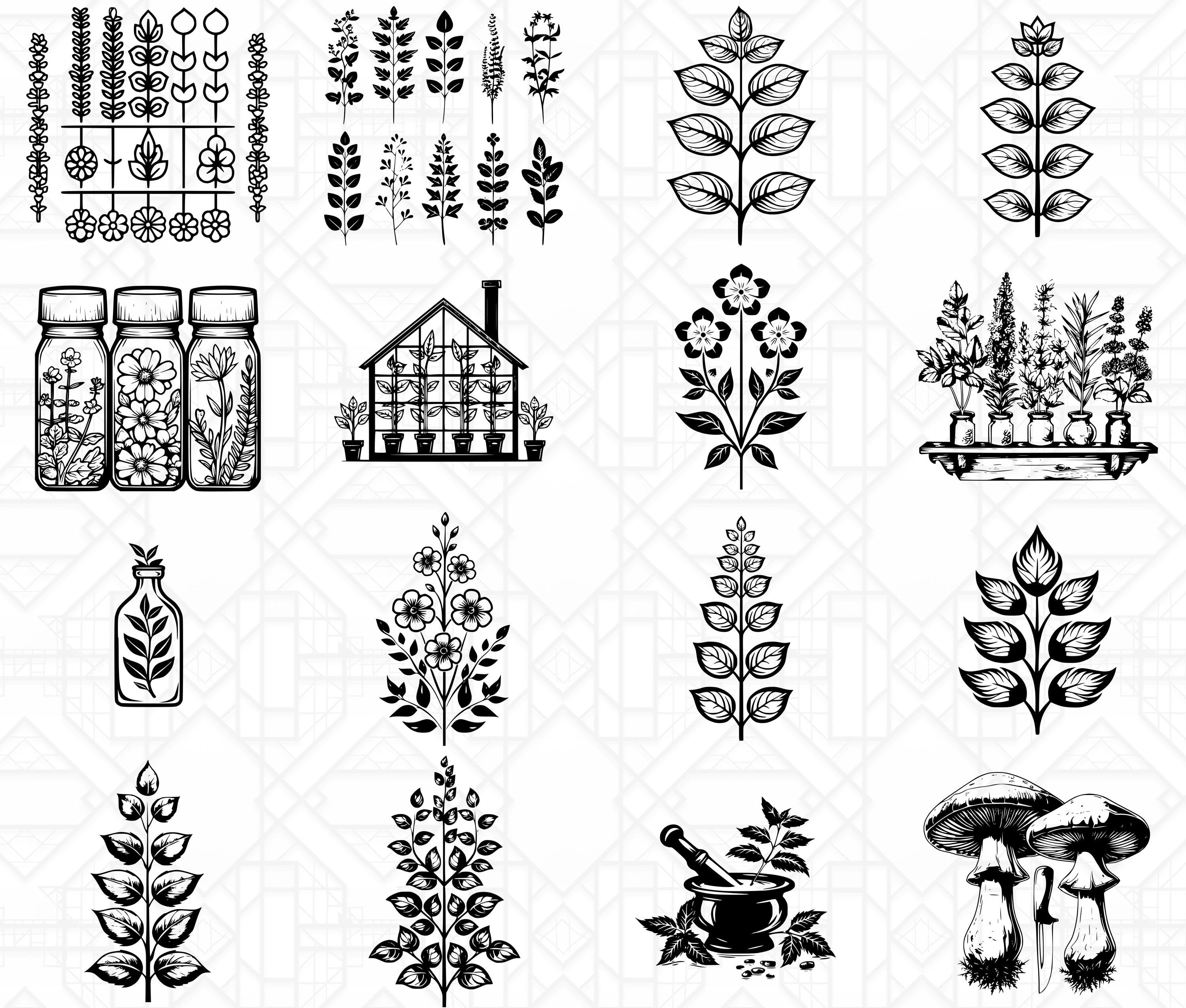 Herbalism SVG Bundle - CraftNest - Digital Crafting and Art