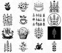 Herbalism SVG Bundle - CraftNest - Digital Crafting and Art