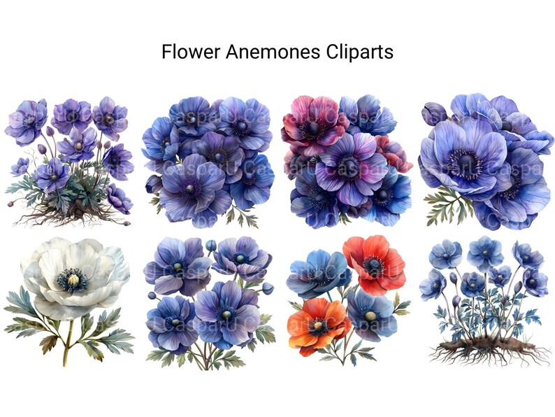 Anemones Flowers Clipart - CraftNest - Digital Crafting and Art