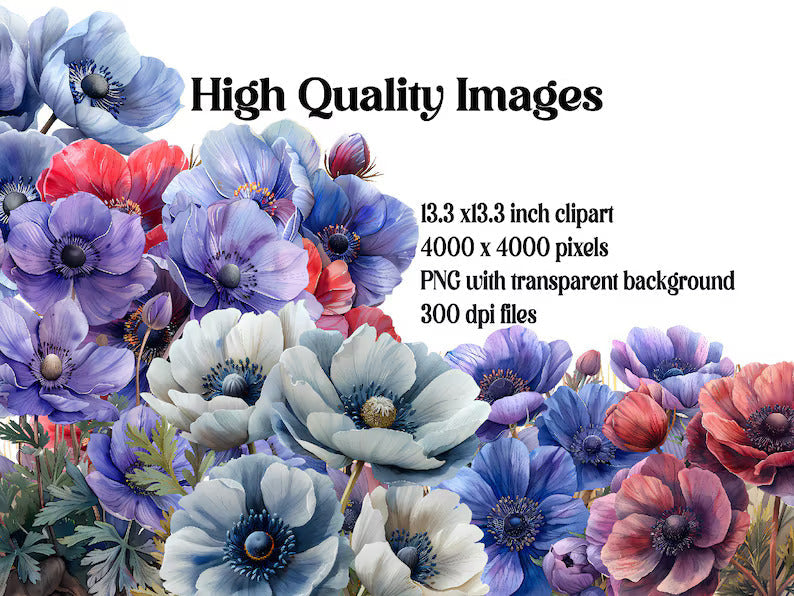 Anemones Flowers Clipart - CraftNest - Digital Crafting and Art