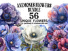 Anemones Flowers