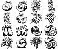 Vine Fruits SVG Bundle - CraftNest - Digital Crafting and Art