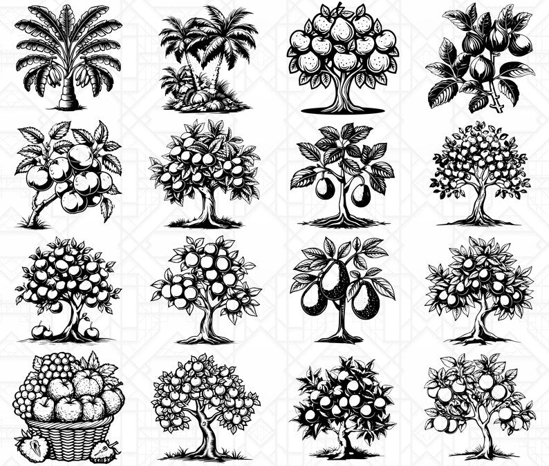 Fruit Trees SVG Bundle - CraftNest - Digital Crafting and Art